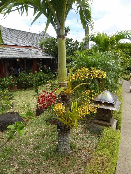 Mauritius 2017 442